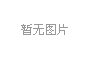 重庆市副市长蔡允革莅临明品福冷链物流园检查指导